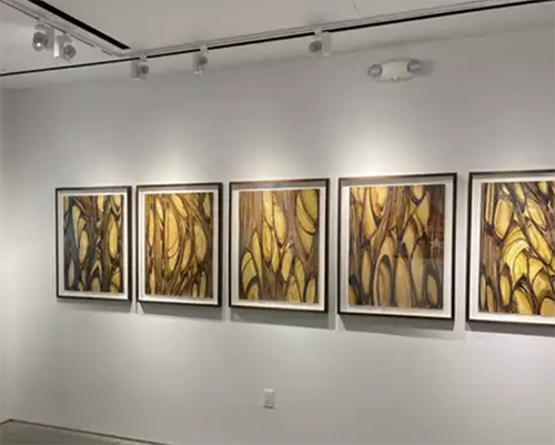 Raul Vega: Bronze Series